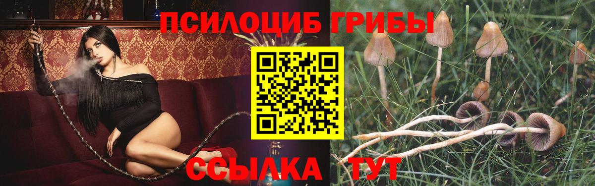 Псилоцибиновые грибы ЛСД  Вход с VPN  Каспийск  Псилоцибиновые грибы прущие грибы 